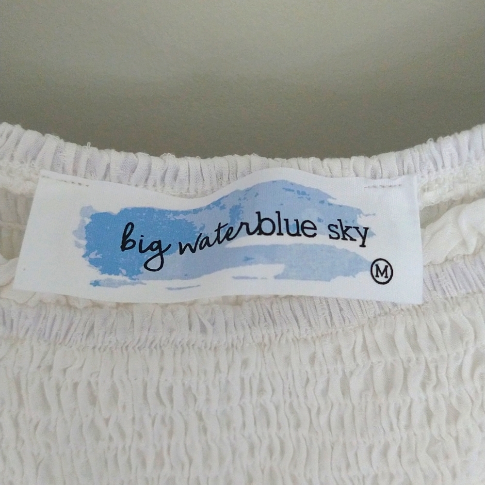 NWT Lizard Thicket Big Waterblue Sky Ivory Delicate Smocked Billow Sleeve Top - Picture 13 of 16